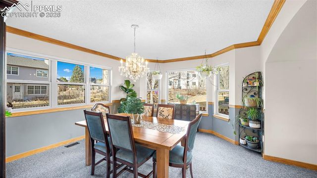 15390 Paddington Circle, Colorado Springs, CO 80921