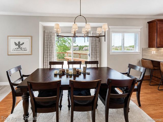 26321 Daria Circle E, Lyon Charter Township, MI 48178