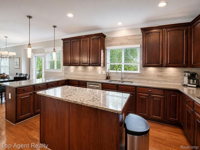 26321 Daria Circle E, Lyon Charter Township, MI 48178