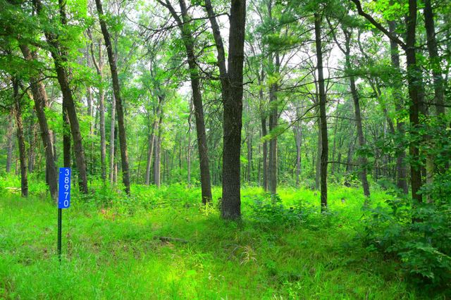 38970 Odin Court, Moran Twp, MN 56438