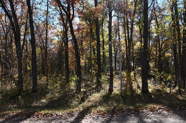 38970 Odin Court, Moran Twp, MN 56438