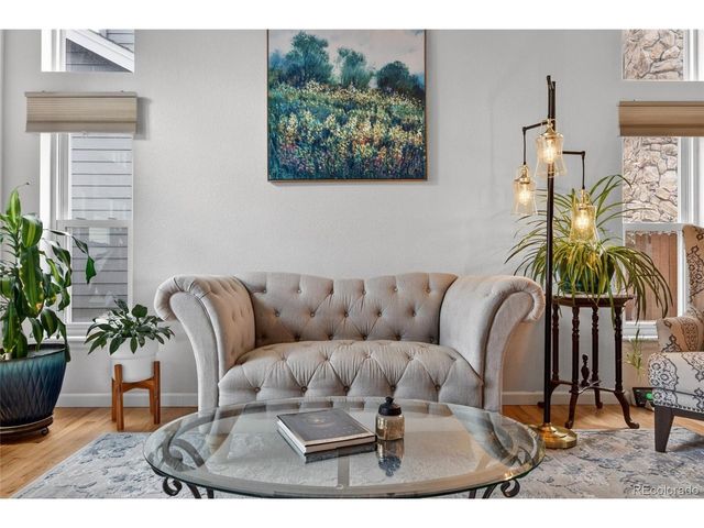 10232 Mica Way, Parker, CO 80134