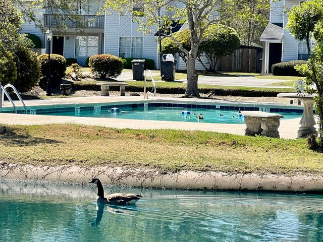 7870 Nummie Court, North Charleston, SC 29418