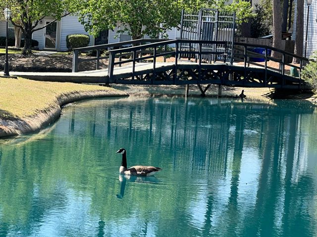 7870 Nummie Court, North Charleston, SC 29418