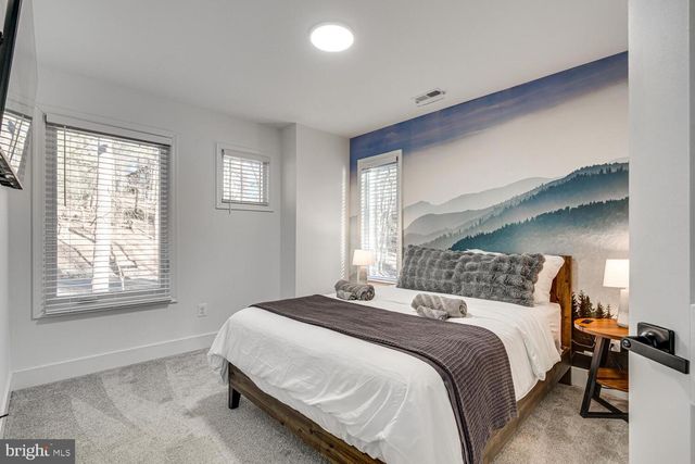 1355 GREENVIEW DR, Basye, VA 22810