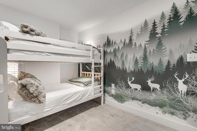 1355 GREENVIEW DR, Basye, VA 22810