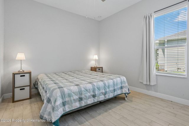 10361 Palmgren Lane, Spring Hill, FL 34608