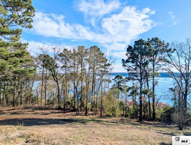 1402 TERRAL ISLAND ROAD, Farmerville, LA 71241