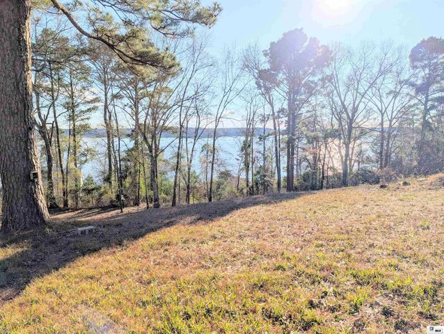 1402 TERRAL ISLAND ROAD, Farmerville, LA 71241