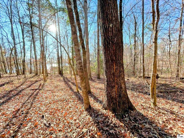 1402 TERRAL ISLAND ROAD, Farmerville, LA 71241