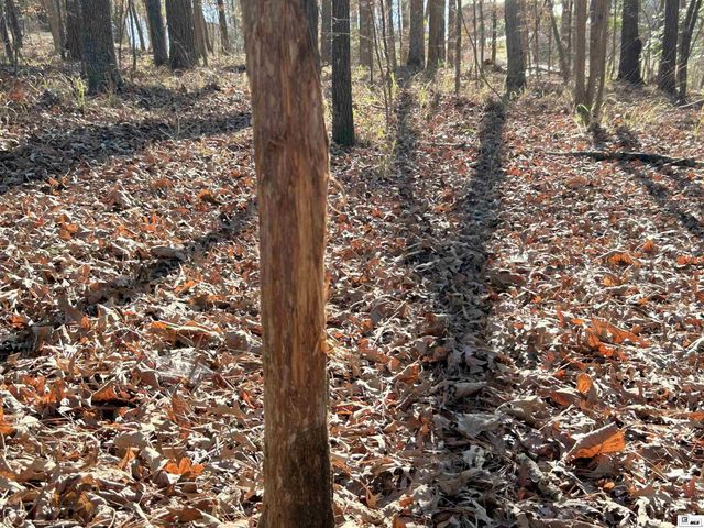 1402 TERRAL ISLAND ROAD, Farmerville, LA 71241