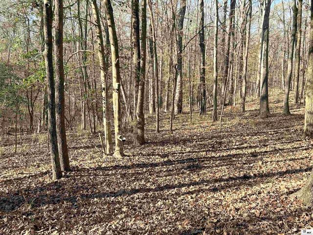 1402 TERRAL ISLAND ROAD, Farmerville, LA 71241