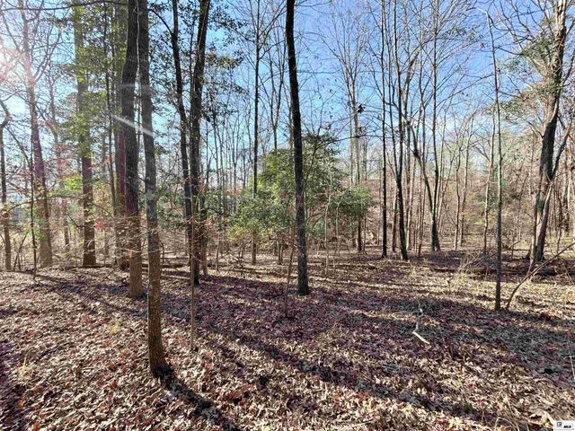 1402 TERRAL ISLAND ROAD, Farmerville, LA 71241