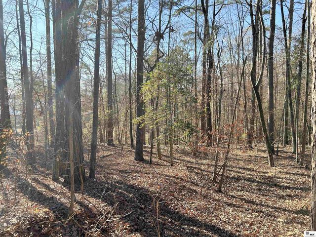 1402 TERRAL ISLAND ROAD, Farmerville, LA 71241