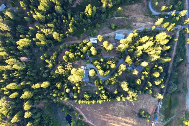 3333 Bingham Ln, Georgetown, CA 95634