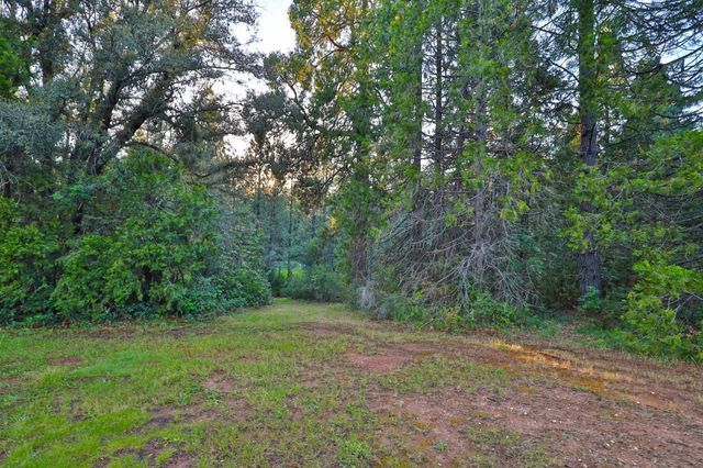 3333 Bingham Ln, Georgetown, CA 95634