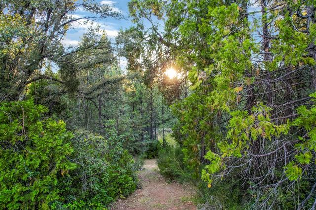 3333 Bingham Ln, Georgetown, CA 95634