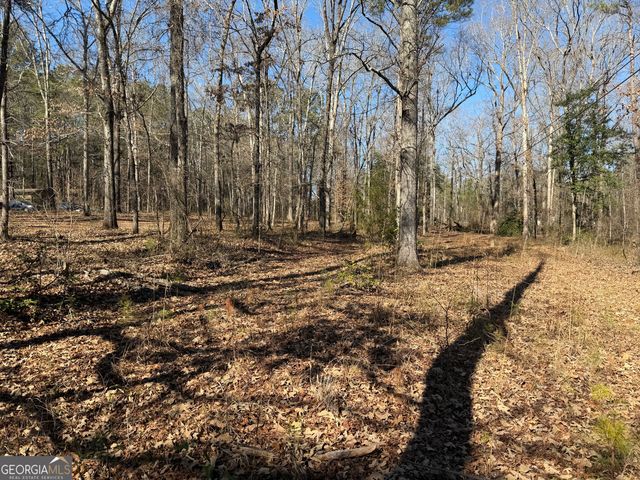 697 Tomochichi Road, Griffin, GA 30223