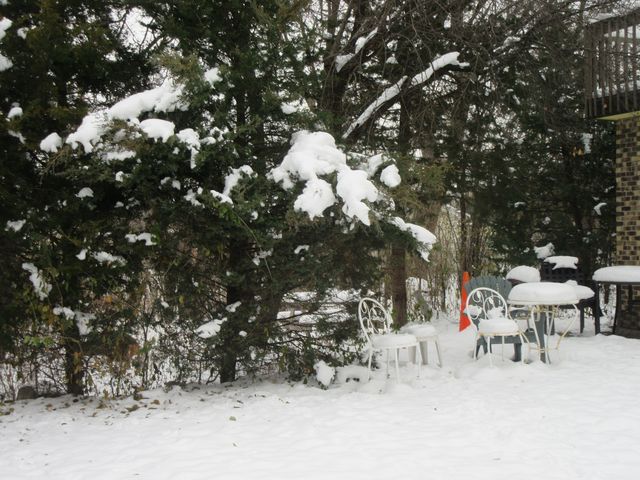 740 N Junior Terrace, Elmhurst, IL 60126