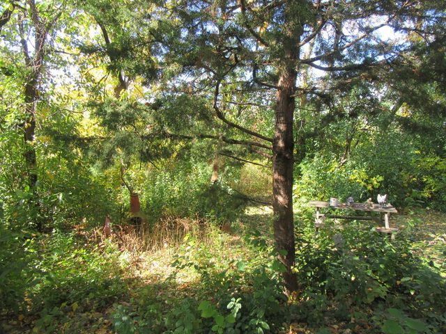 740 N Junior Terrace, Elmhurst, IL 60126