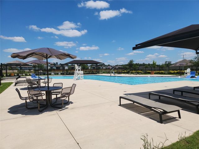 18242 Via Aurelia Drive, New Caney, TX 77357