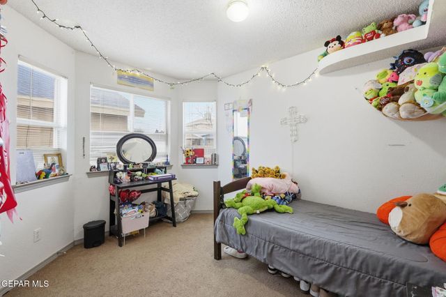 10329 Valle Del Mar Drive, Socorro, TX 79927