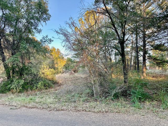 y Flagship Lane, Gun Barrel City, TX 75156