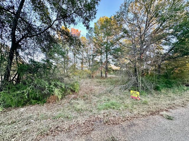 y Flagship Lane, Gun Barrel City, TX 75156