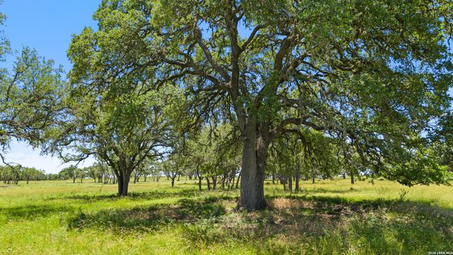 TBD 1 Lindeman, Blanco, TX 78606