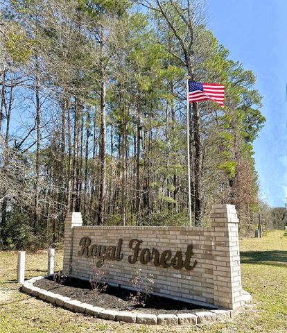 0 Royal Crk Road, Willis, TX 77303