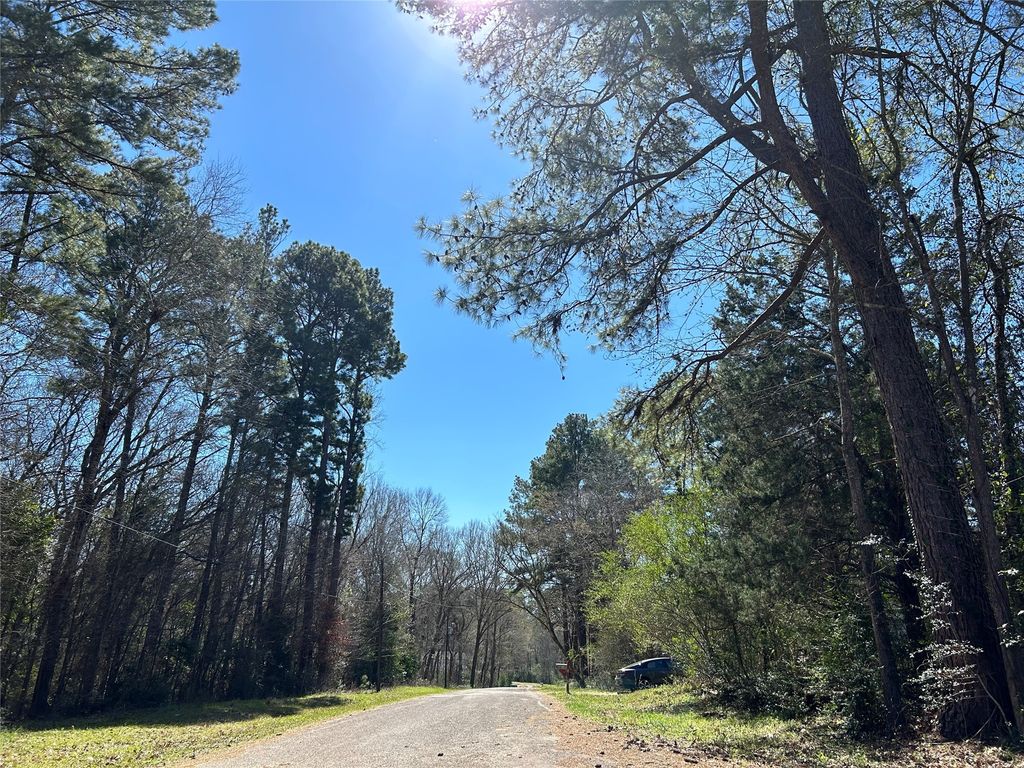 0 Royal Crk Road, Willis, TX 77303