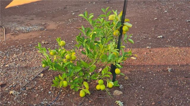 6396 Diamond, Paradise, CA 95969