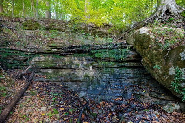 3345 Pigeon Roost Rd, Pulaski, TN 38478