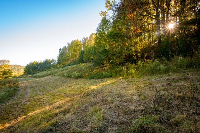 3345 Pigeon Roost Rd, Pulaski, TN 38478