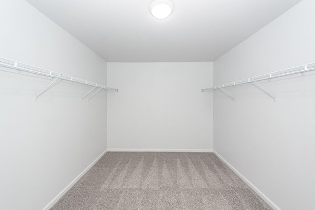 245 Decatur Drive, Summerville, SC 29486