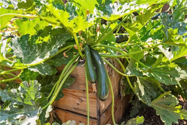 9 Montclair Drive, Chico, CA 95926