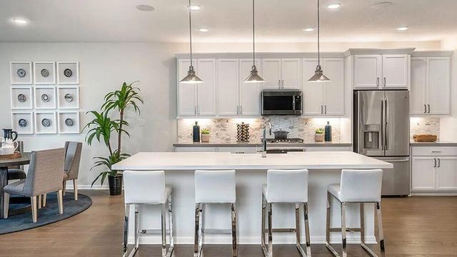 205 Amber Oak LN, Georgetown, TX 78628