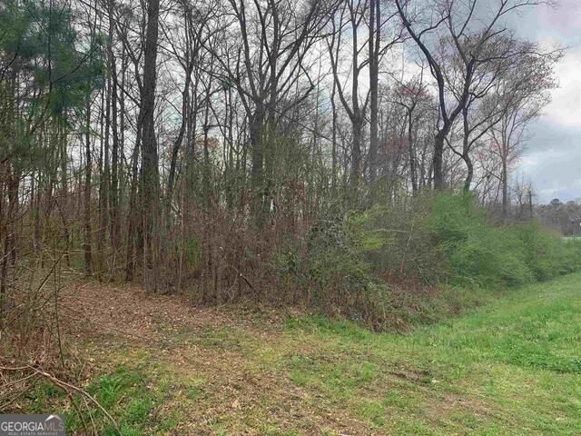 1156 County Line Road, Griffin, GA 30224