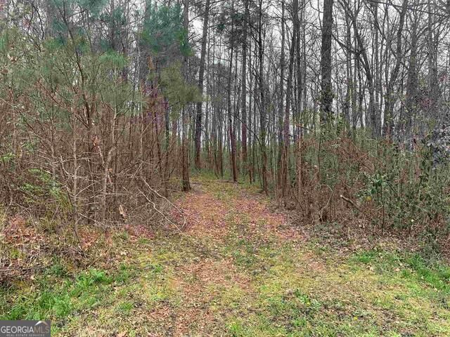 1156 County Line Road, Griffin, GA 30224
