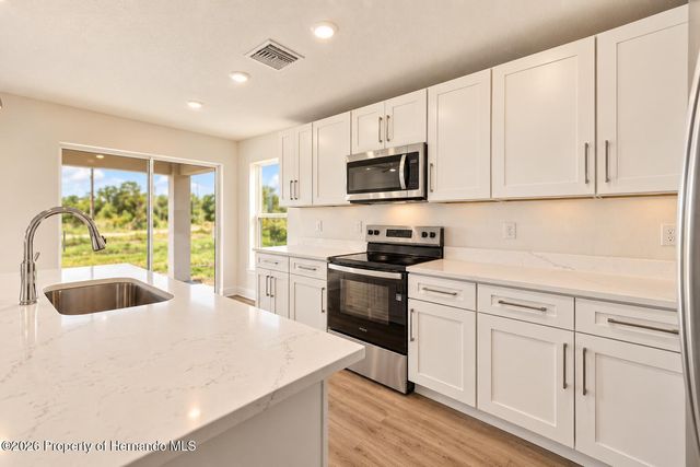 13041 Scissorbill Avenue, Weeki Wachee, FL 34614
