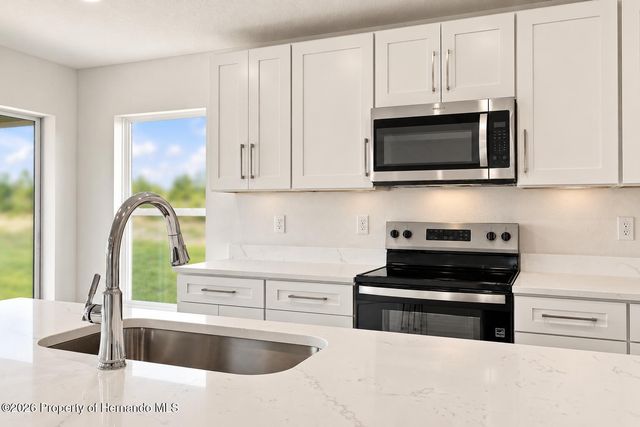 13041 Scissorbill Avenue, Weeki Wachee, FL 34614