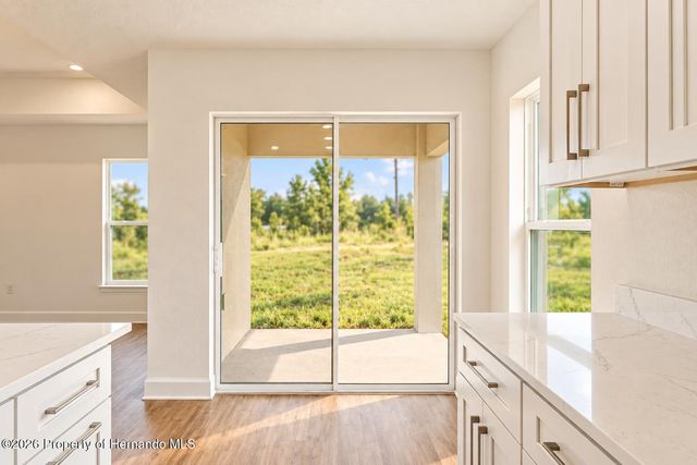 13041 Scissorbill Avenue, Weeki Wachee, FL 34614