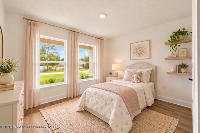 13041 Scissorbill Avenue, Weeki Wachee, FL 34614