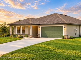 13041 Scissorbill Avenue, Weeki Wachee, FL 34614