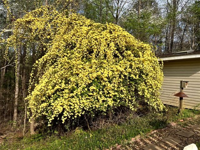 410 South Hogan Drive, Westminster, SC 29693