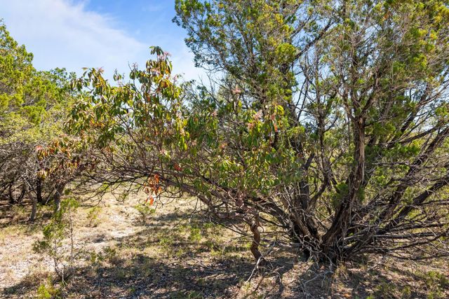 1725 Cripple Creek STA, Dripping Springs, TX 78620