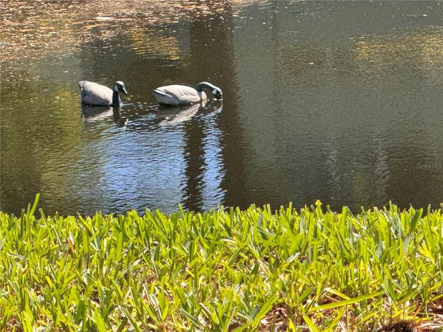 1250 S PINELLAS AVENUE 804, Tarpon Springs, FL 34689