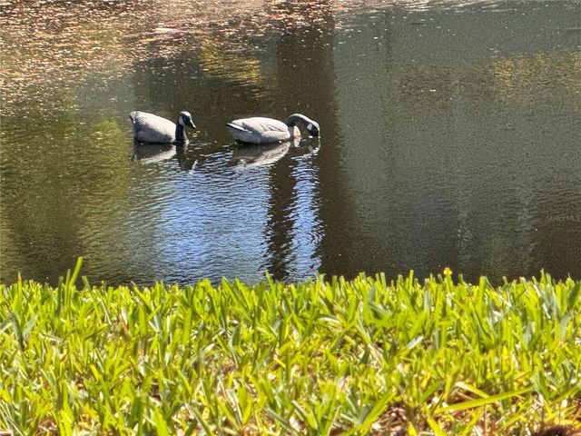 1250 S PINELLAS AVENUE 804, Tarpon Springs, FL 34689