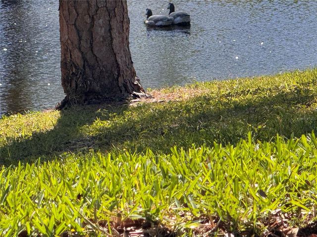 1250 S PINELLAS AVENUE 804, Tarpon Springs, FL 34689