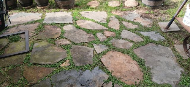 13626 Cantebury Ave, Denham Springs, LA 70726